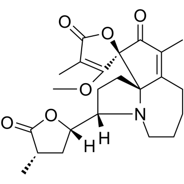 ProtostemotinineͼƬ