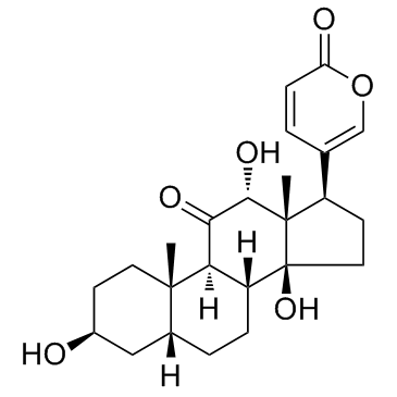 Pseudobufarenogin(&psi-Bufarenogin)图片