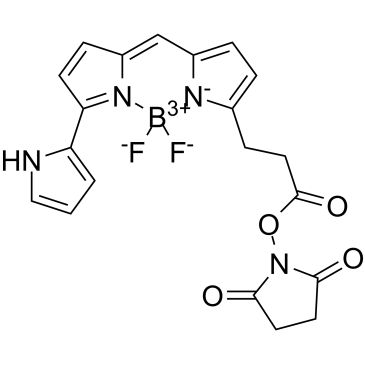 Py-BODIPY-NHS esterͼƬ