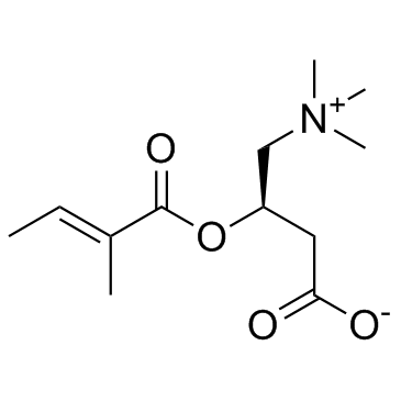 Tiglyl carnitineͼƬ