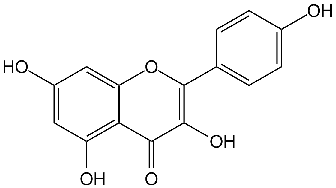 KaempferolͼƬ