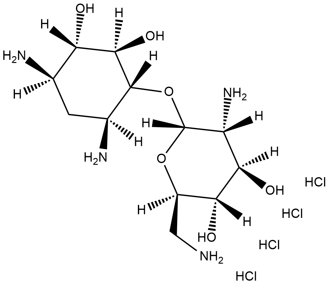 Neamine(hydrochloride)ͼƬ