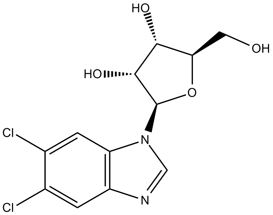 DRB图片