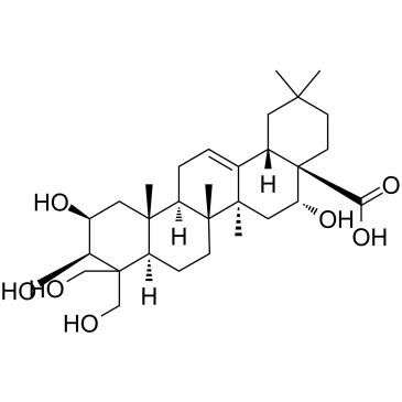 PlaticodigeninͼƬ