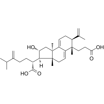 Poricoic acid AͼƬ