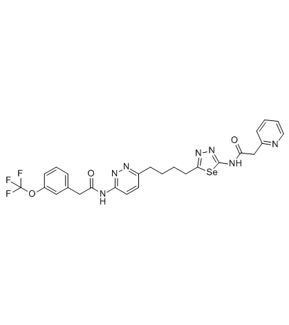 Glutaminase-IN-1ͼƬ