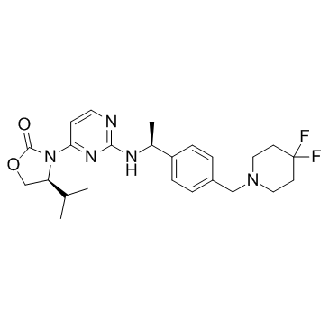 Mutant IDH1-IN-2ͼƬ