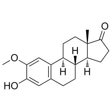 2-MethoxyestroneͼƬ