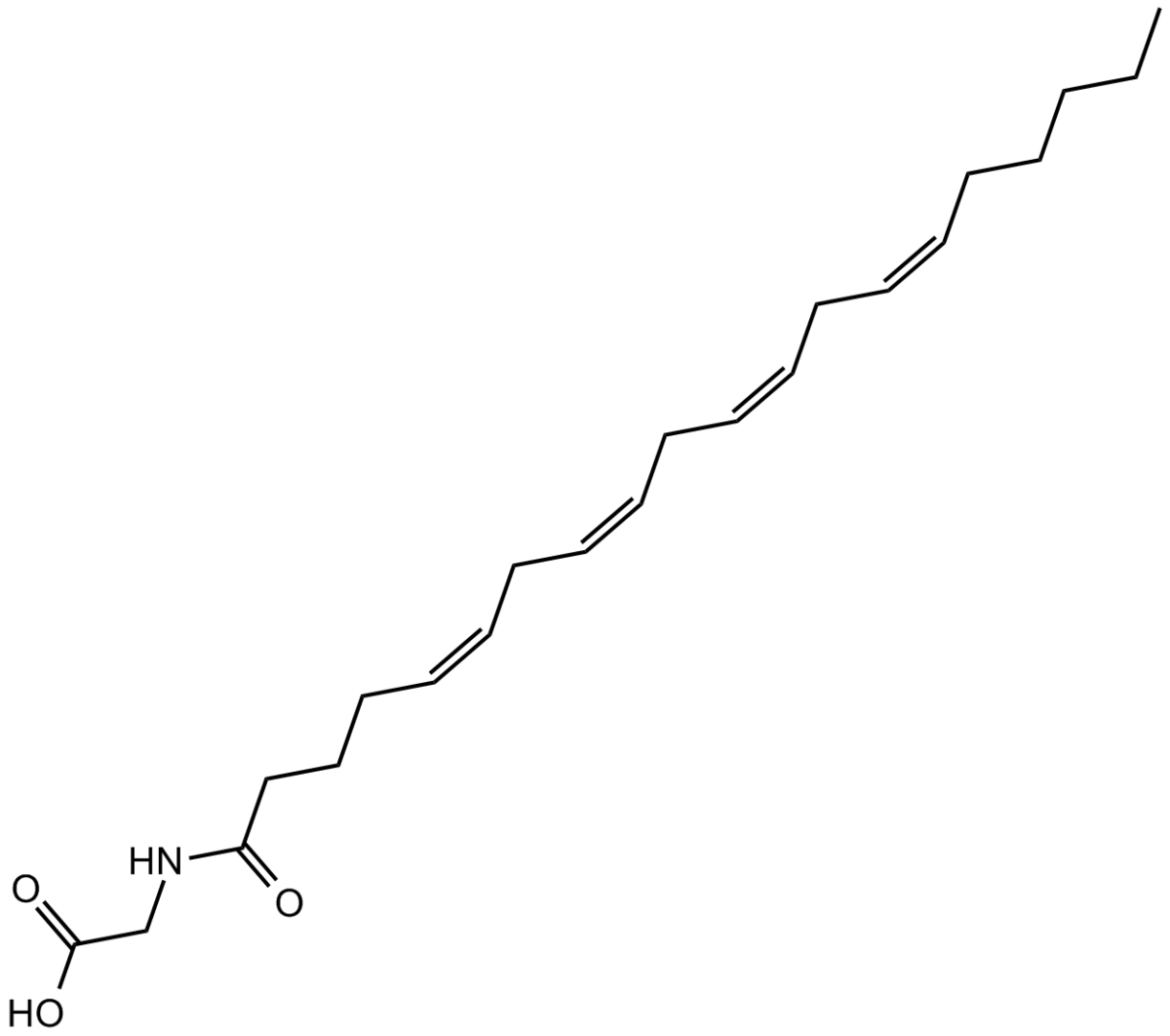 N-ArachidonylglycineͼƬ