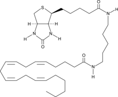 Arachidonic Acid-biotinͼƬ