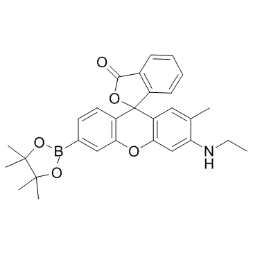 NucPE1(Nuclear Peroxy Emerald 1)ͼƬ