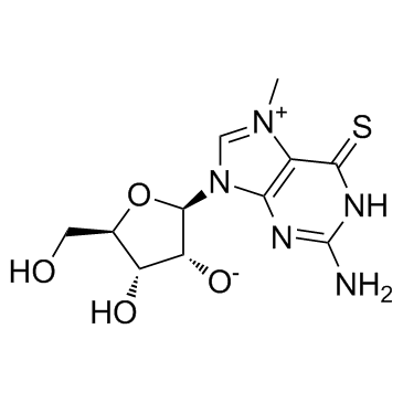 MESG(7-methyl-6-Thioguanosine)图片