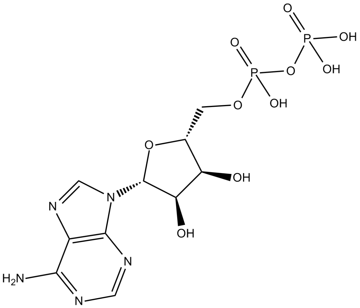 Adenosine-5'-diphosphateͼƬ