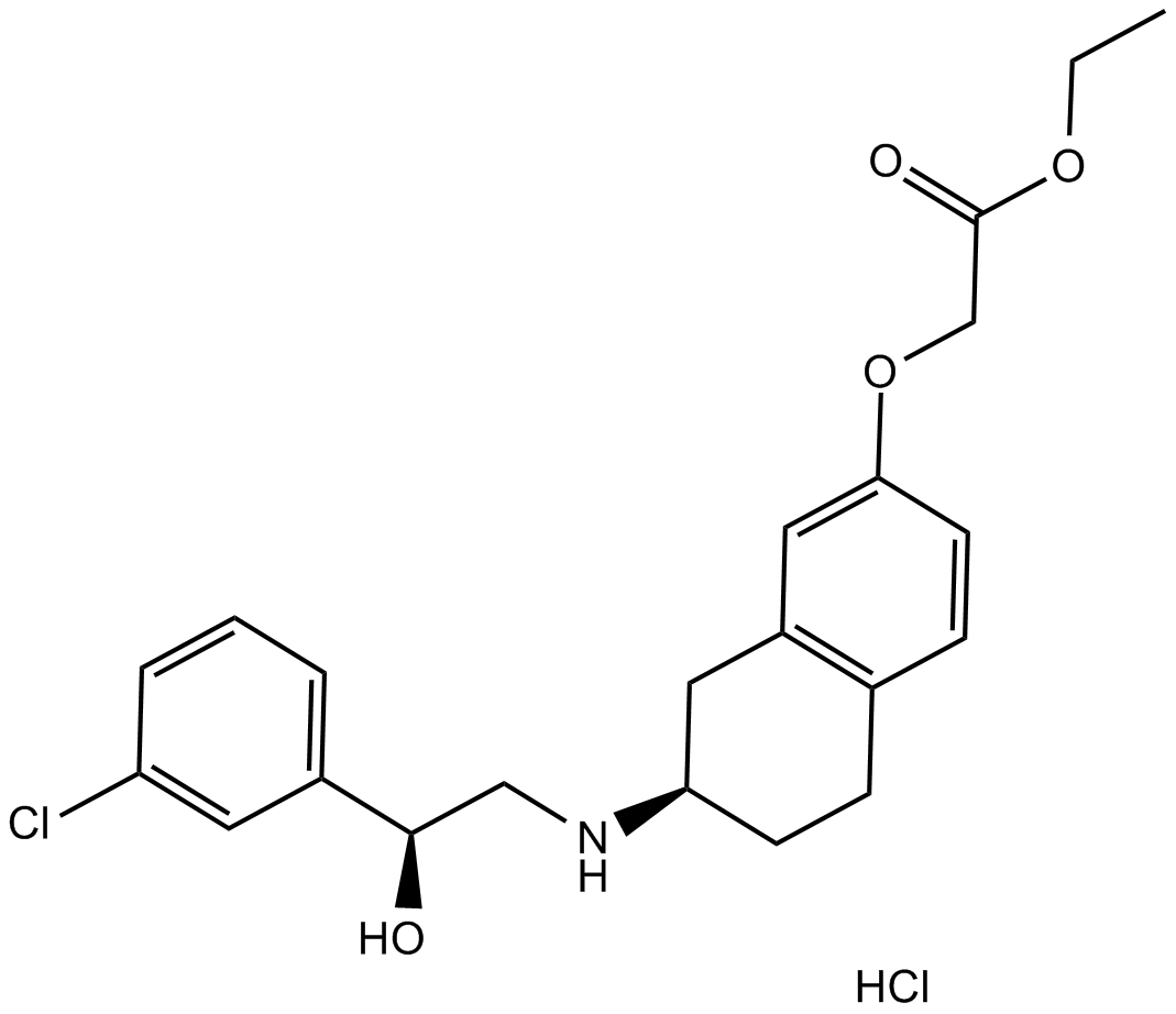 SR 58611A hydrochlorideͼƬ