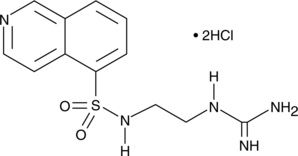 HA-1004(hydrochloride)ͼƬ