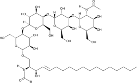 Globotetraosylceramides(porcine RBC)ͼƬ