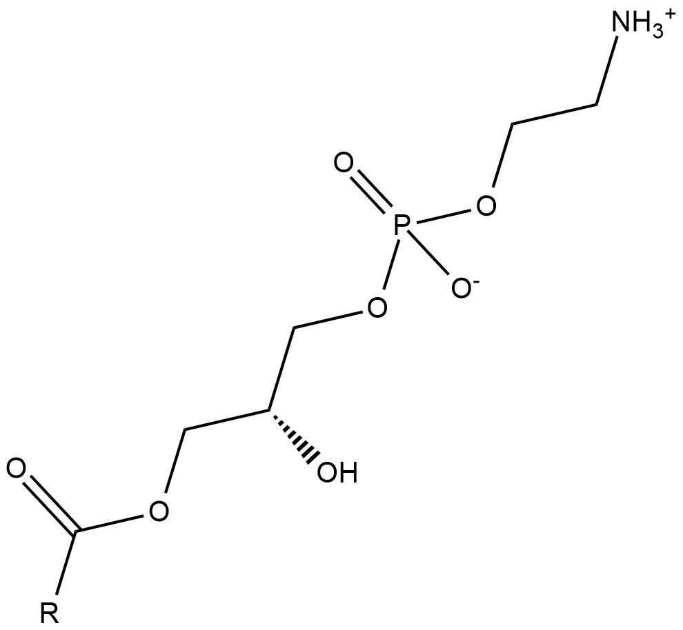 Lysophosphatidylethanolamines(egg)ͼƬ