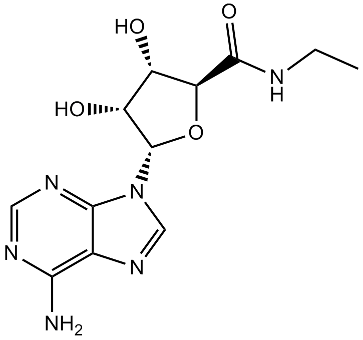 NECAͼƬ