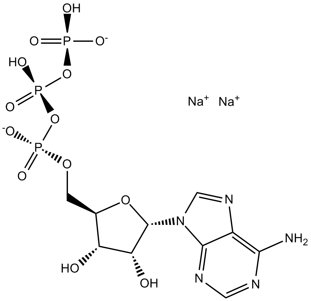 ATP disodium salt图片