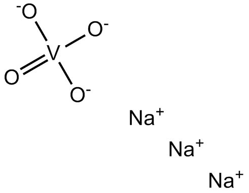 Sodium OrthovanadateͼƬ