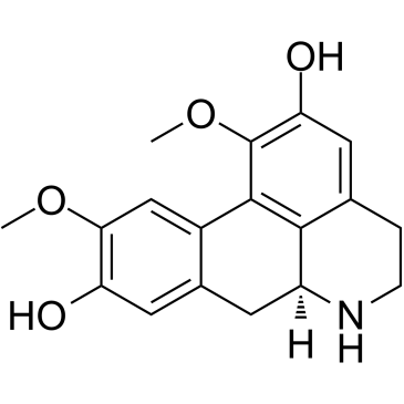 LaurolitsineͼƬ