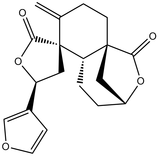 LevatinͼƬ