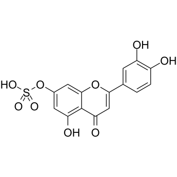 Luteolin 7-sulfateͼƬ