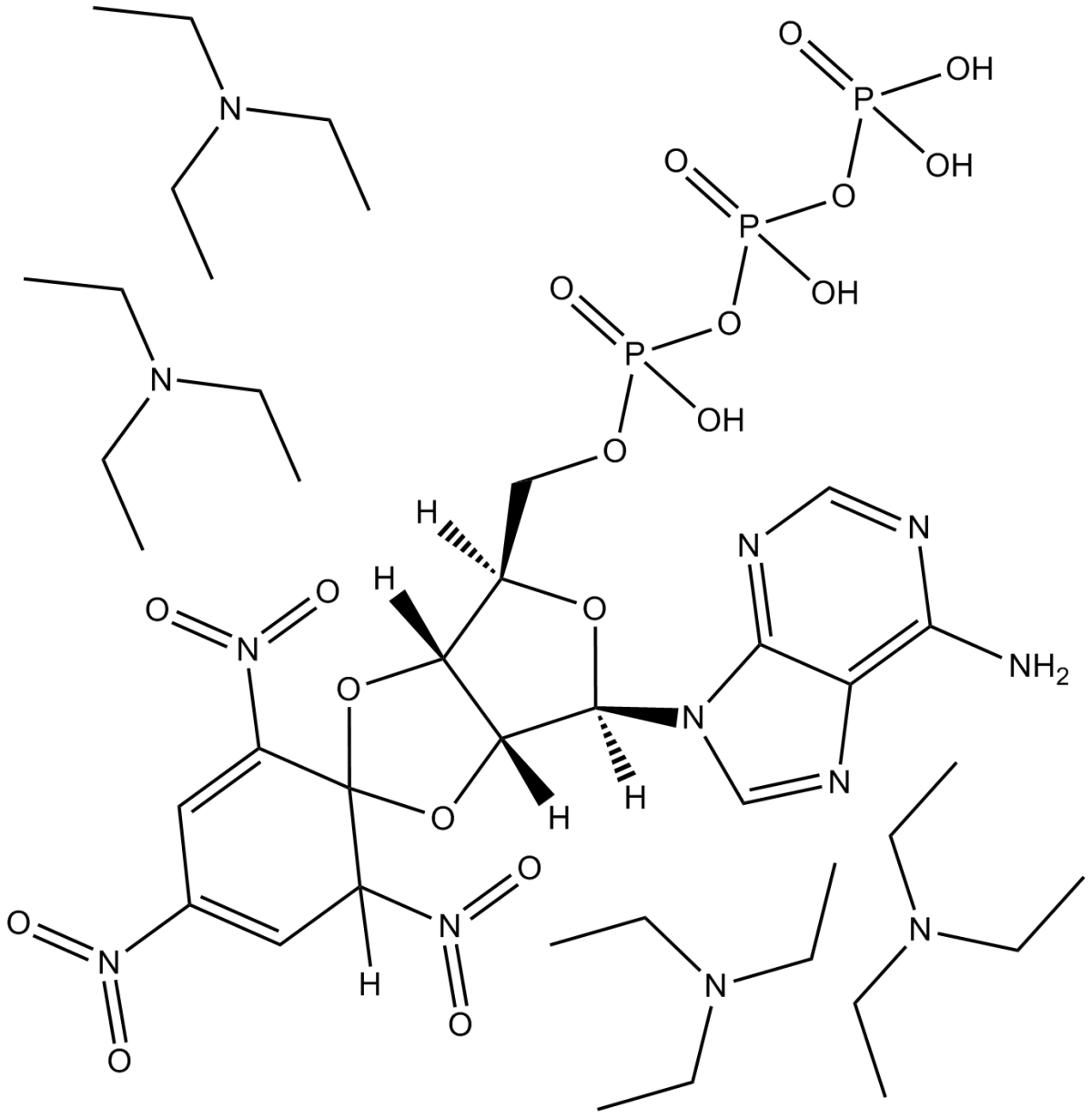 TNP-ATP triethylammonium salt图片