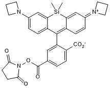 Janelia Fluor 646,SEͼƬ