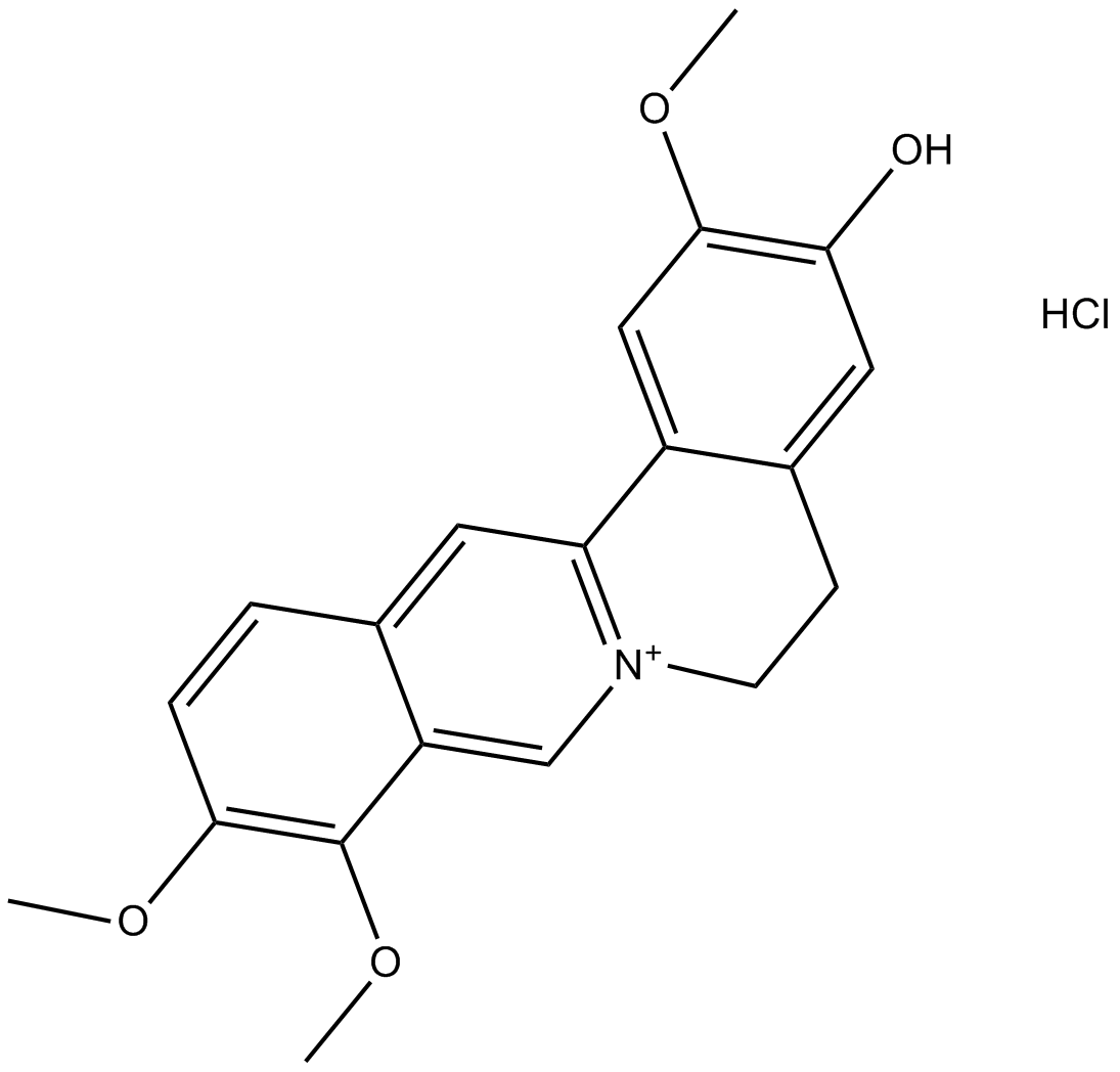 Jatrorrhizine HydrochlorideͼƬ