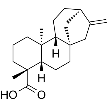 Kaurenoic acidͼƬ