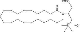 Arachidonoyl-L-carnitine(chloride)ͼƬ