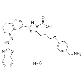 WEHI-539 hydrochlorideͼƬ