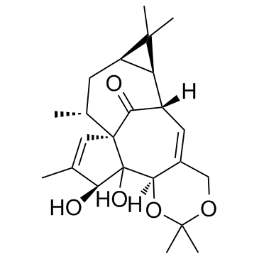 Ingenol-5,20-acetonideͼƬ