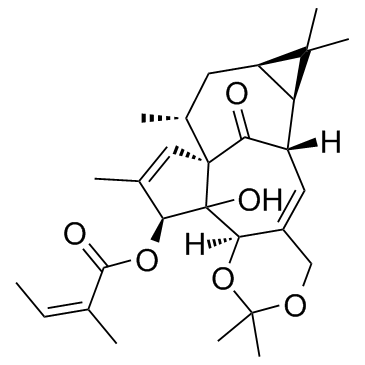 Ingenol-5,20-acetonide-3-O-angelateͼƬ