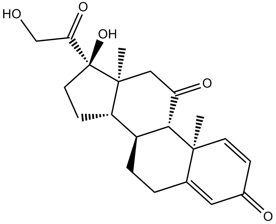 PrednisoneͼƬ