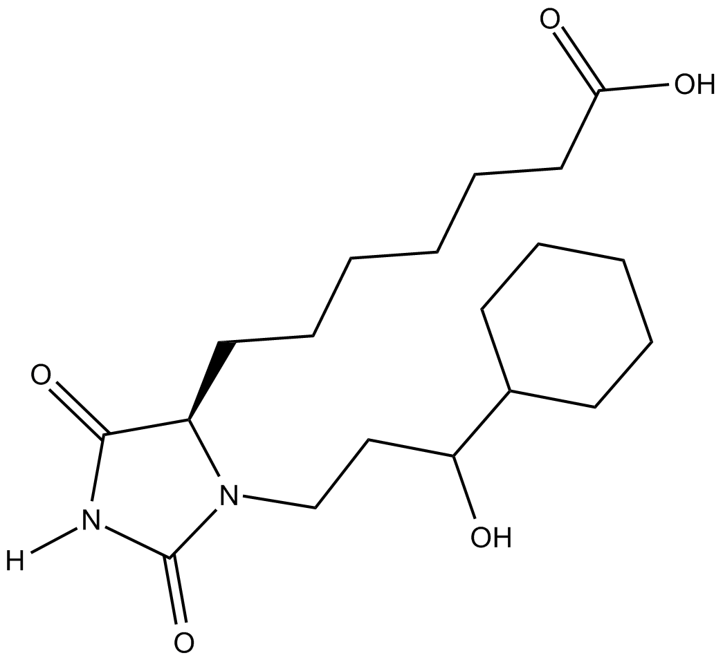 BW 246C图片