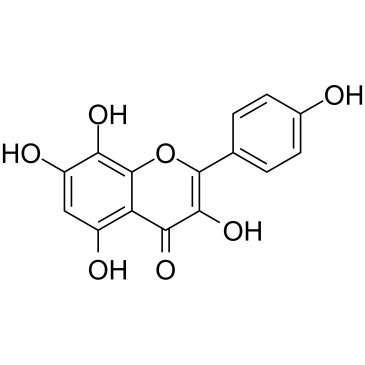 HerbacetinͼƬ