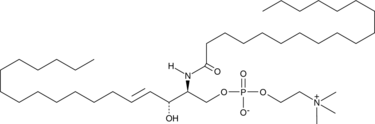 Sphingomyelins(from bovine spinal cord)ͼƬ