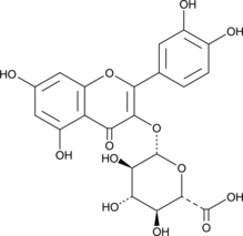 Quercetin 3-O-glucuronideͼƬ