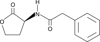 N-phenylacetyl-L-Homoserine lactoneͼƬ