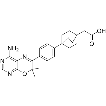 DGAT-1 inhibitor 2ͼƬ