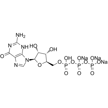 5'-GTP trisodium saltͼƬ