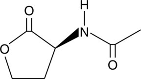 Acetyl-L-Homoserine lactoneͼƬ