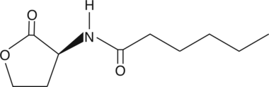 N-hexanoyl-L-Homoserine lactoneͼƬ