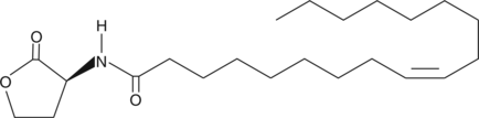 N-cis-octadec-9Z-enoyl-L-Homoserine lactoneͼƬ