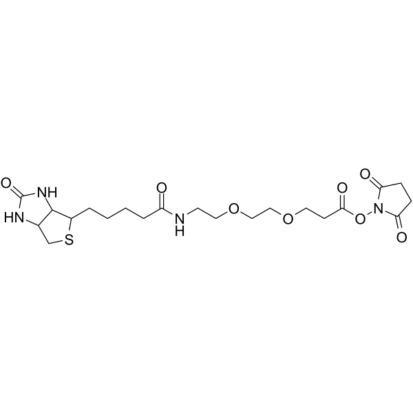 Biotin-PEG2-NHS esterͼƬ