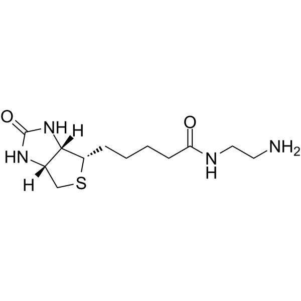 Biotin-EDA图片