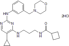 MRT 67307 dihydrochlorideͼƬ