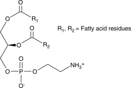 Phosphatidylethanolamines(bovine)ͼƬ